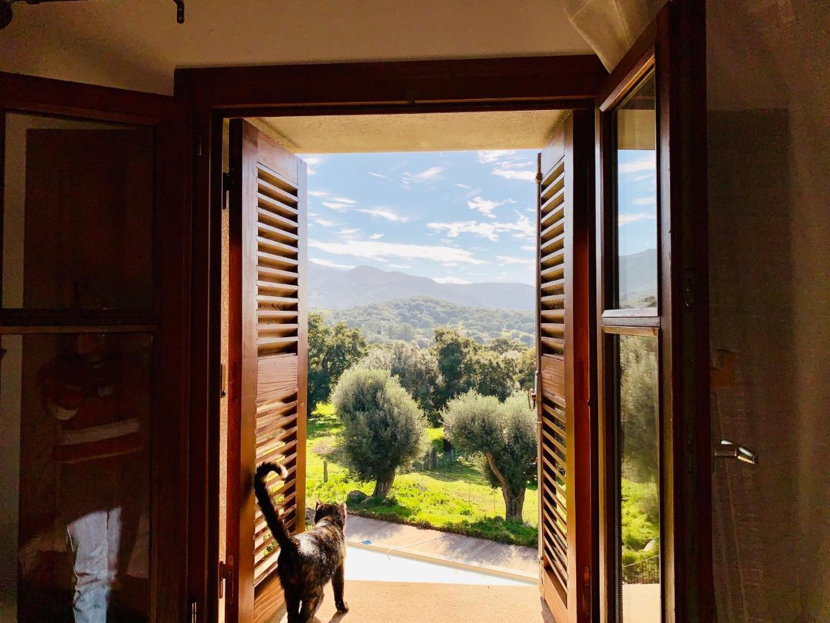 Vila Domaine De Tappa - Casa Filicina Sollacaro Exteriér fotografie