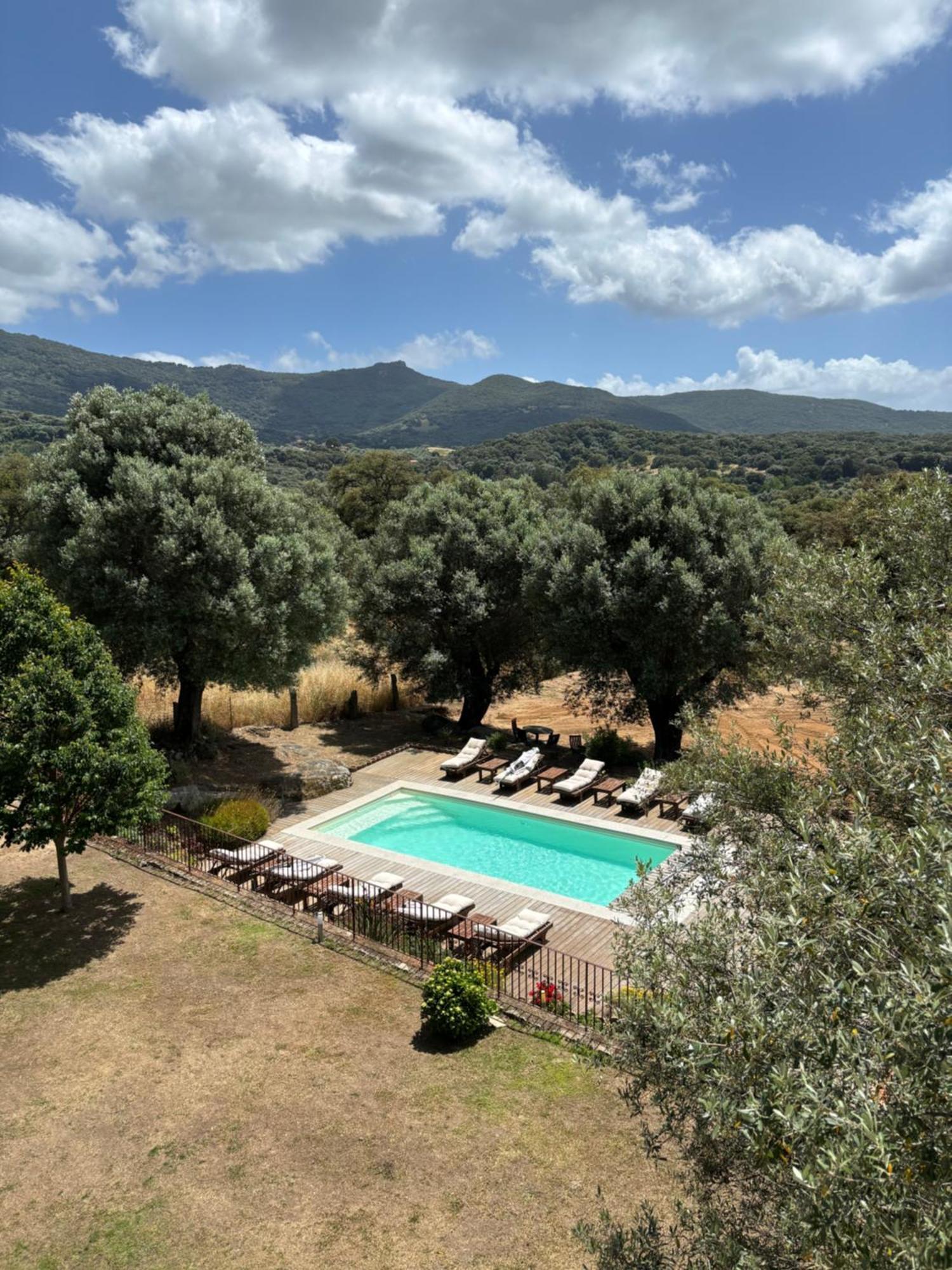 Vila Domaine De Tappa - Casa Filicina Sollacaro Exteriér fotografie